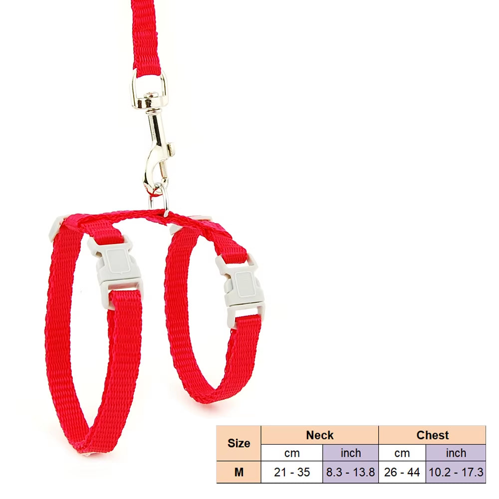 Cat Dog Collar Harness Leash Adjustable Nylon Pet Traction Cat Solid Halter Collar Cats Products Pet Harness Belt for Size M