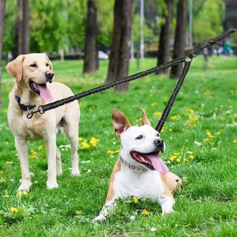Double Dog Leash with Elastic Extension for Small to Medium Dogs