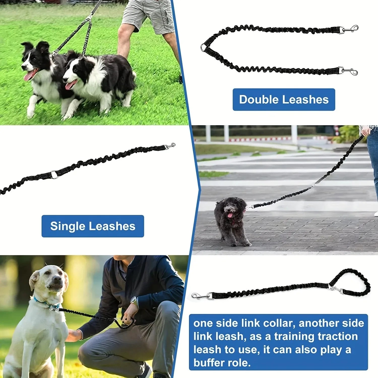 Double Dog Leash with Elastic Extension for Small to Medium Dogs