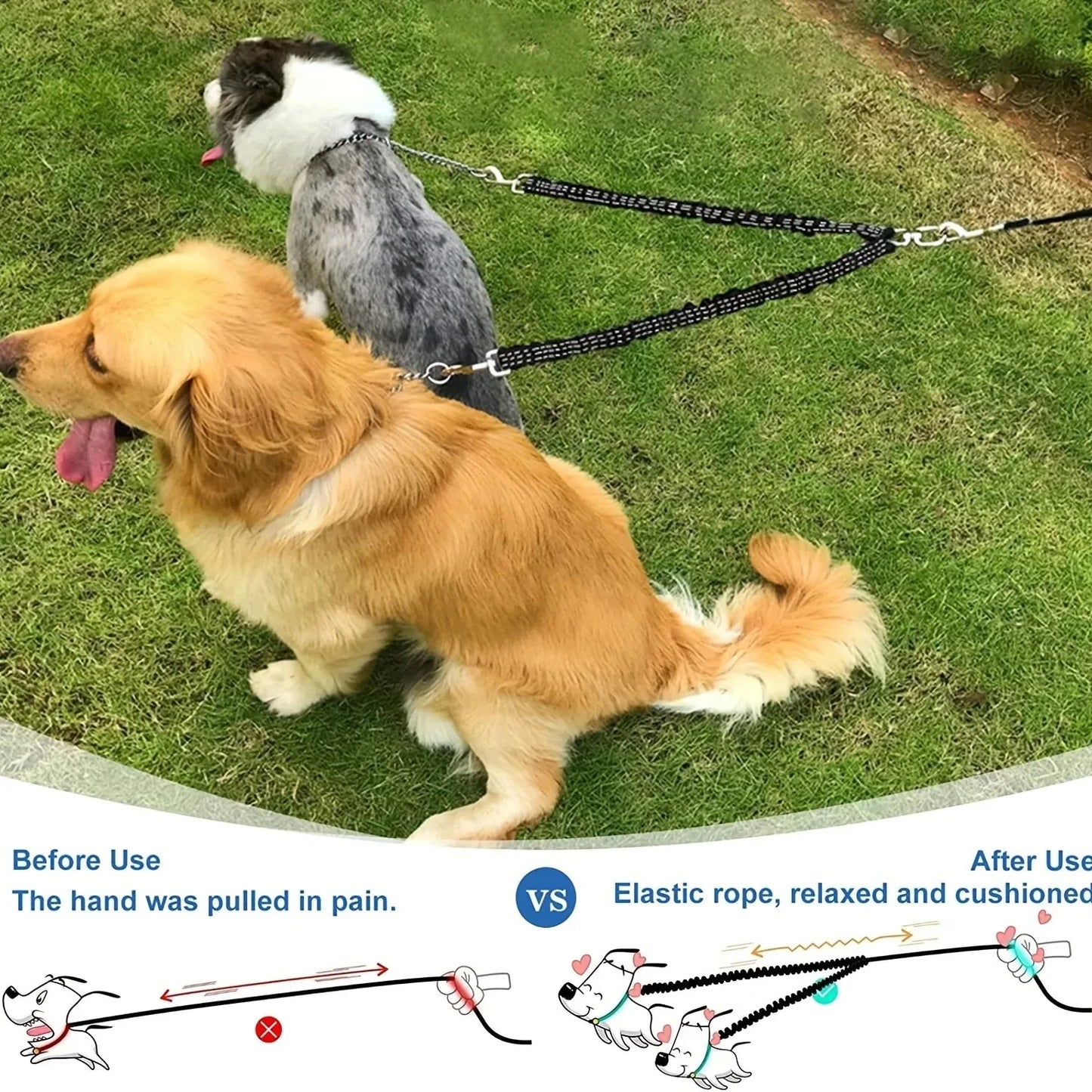 Double Dog Leash with Elastic Extension for Small to Medium Dogs