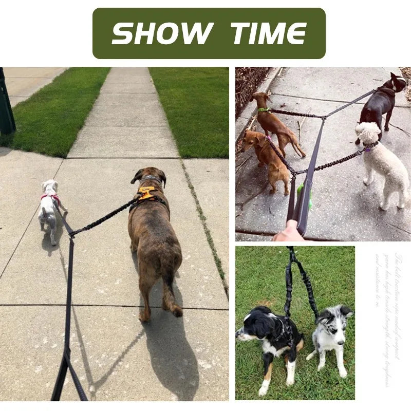 Double Dog Leash with Elastic Extension for Small to Medium Dogs